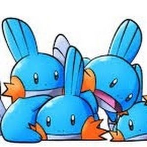 Meet your Posher, Benjamin